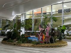 -德宏芒市国际机场