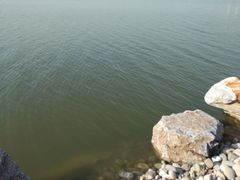 -天津东丽湖风景区