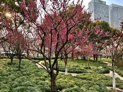 -四川北路(地铁站)