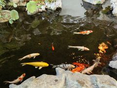 -道南書院·私房菜·早午茶·茶馆