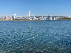 -台场海滨公园船码头