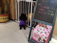 -精灵岛宠物生活馆(洪泽花园店)