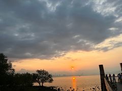 -深圳湾公园(南山区)