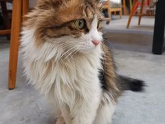 -有肉食·虎九闽菜(798艺术区店)