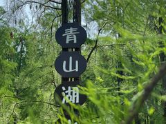 -青山湖景区