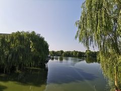 -东方苑自助餐厅(稻香湖景酒店)