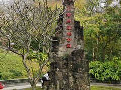 -王借岗森林公园