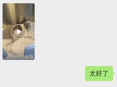 -瑞派天使宠物医院·神经外科·骨科·核磁(洛川中路店)