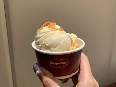 哈根达斯雪糕-Social 秀西餐厅-长沙瑞吉酒店(运达店)