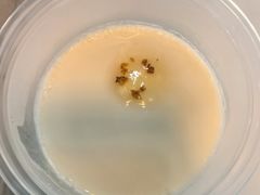 桂花蜜豆花-福巷湘食小馆·猛火现炒(上海首店)