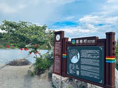 -里格村景区