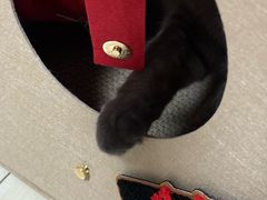 -麦当劳(展览路店)