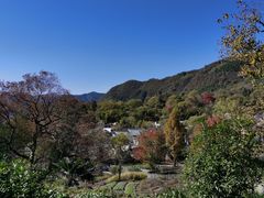 -塔川景区