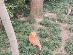-静安公园(静安寺街道)
