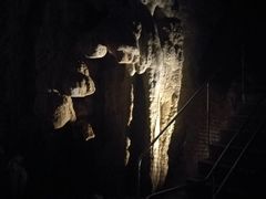 -怀托摩萤火虫洞