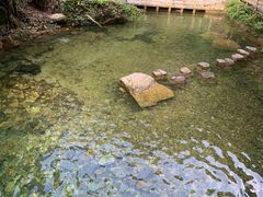 -鼎湖山风景区