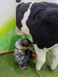 -新方向童乐小镇·儿童主题乐园·职业角色扮演(南昌店)