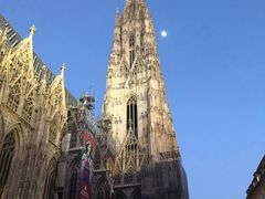 -斯蒂芬主教座堂(Stephansdom)
