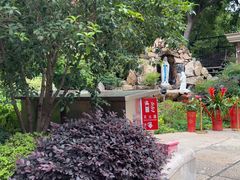 -徐家汇天主堂