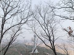 -帽儿山国家森林公园