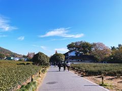 -灵顺寺