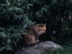 -雨花胜境