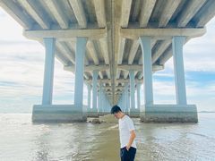 -宝安西湾红树林湿地公园