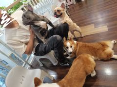 -柯斗斗主题餐厅·狗咖·围炉煮茶·茶饮(国瑞升平里店)