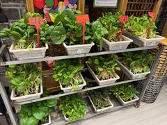 -塘人·老底子宁波菜小馆(南塘老街店)