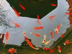 -湘子庙