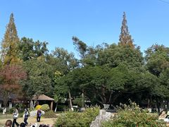 -墨池公园