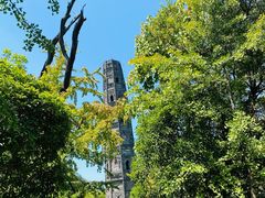 -上海佘山国家森林公园天马山园