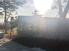-芒洲湿地公园
