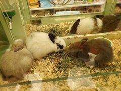 -龙猫仔乐园(惠福东路店)