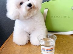 -CCC COFFEE 喜喜喜咖啡