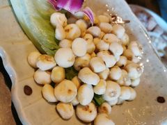 野生珍珠小马蹄-同仁四季椰子鸡(海岸城天利店)