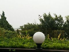 android_upload_pic-向日葵咖啡