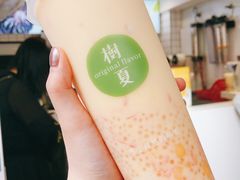 -树夏(建设路店)