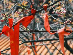 -涂山寺素食餐厅