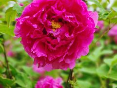 -玄武湖景区-情侣园游乐场