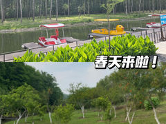 -合肥滨湖国家森林公园