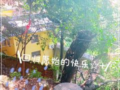 -宝通禅寺
