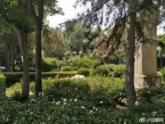 -北平图书馆旧址