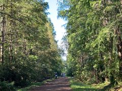 -上海海湾国家森林公园