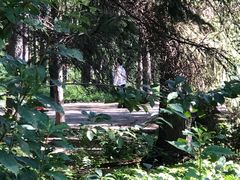 -长春市南湖公园