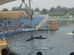 -秦皇岛乐岛海洋王国