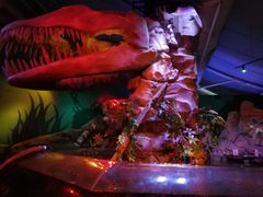 -悉尼海洋生物水族馆