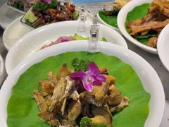 -千岛湖小鱼儿·淳安匠心农家菜