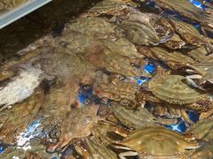 -77号渔船·蒸海鲜青岛菜(积米崖店)