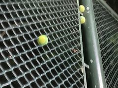 -快网网球俱乐部(徐汇爱建园店)